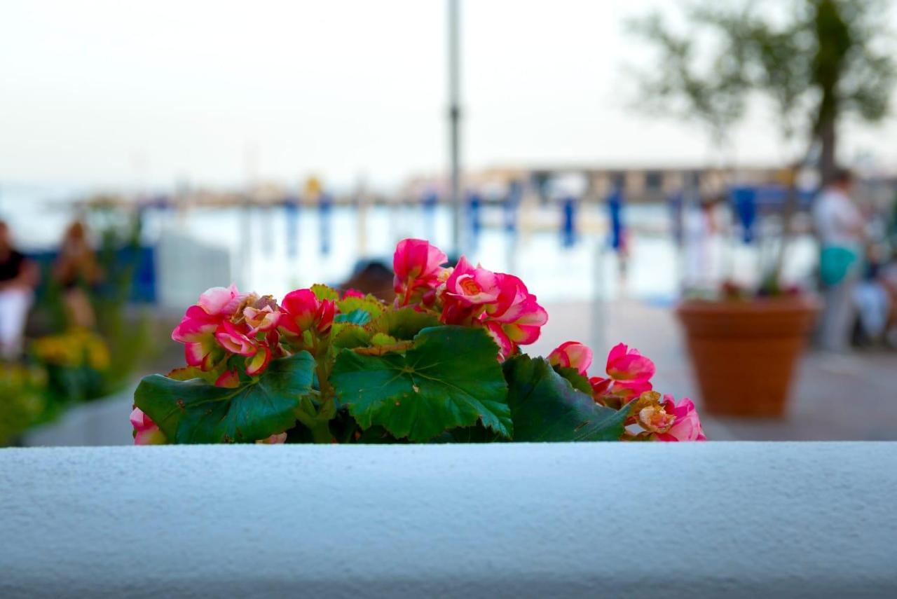 Marinella Casa Vacanze Cetara Εξωτερικό φωτογραφία